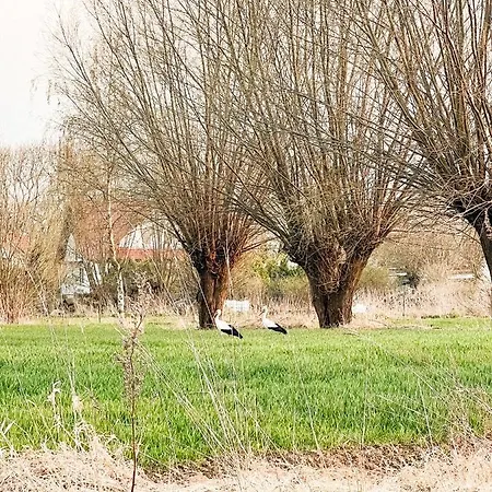 Siedlisko Nad Nogatem Kwatera prywatna *