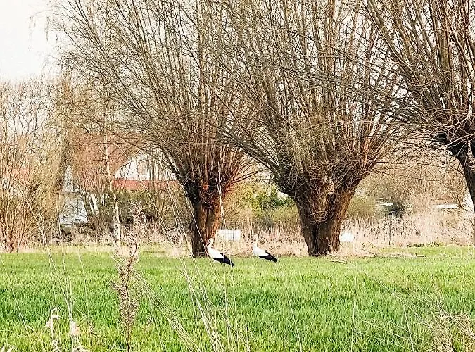 Siedlisko Nad Nogatem Pansiyon *